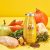 SmoothieDog - csirkehús smoothie kutyáknak 250ml