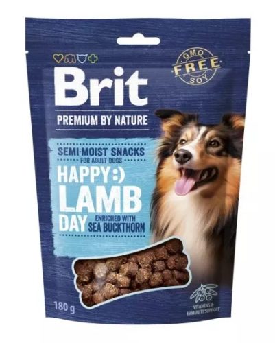 Brit Premium Happy Day - bárány homoktövissel 180g