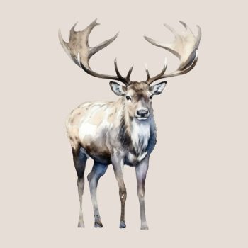 Szarvasos jutalomfalatok